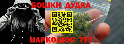 индика Будённовск
