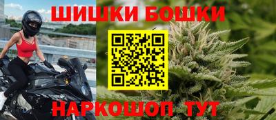 индика Будённовск
